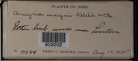 Image Associated With the Occurence